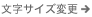 文字サイズ変更