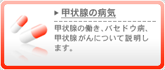 甲状腺の病気　甲状腺の働き、バセドウ病、甲状腺がんについて説明します。