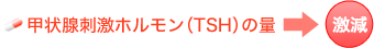 甲状腺刺激ホルモン（TSH）の量→激減