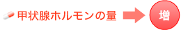 甲状腺ホルモンの量→増